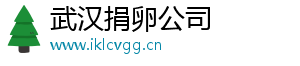 武汉捐卵公司	